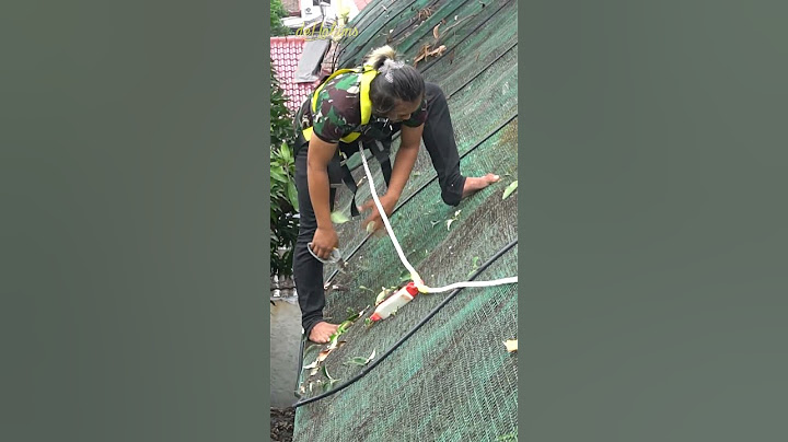 DOME AVIARY DEHAKIMS BERLUBANG !! HARUS IKHLASKAN TEBANG POHONNYA !!