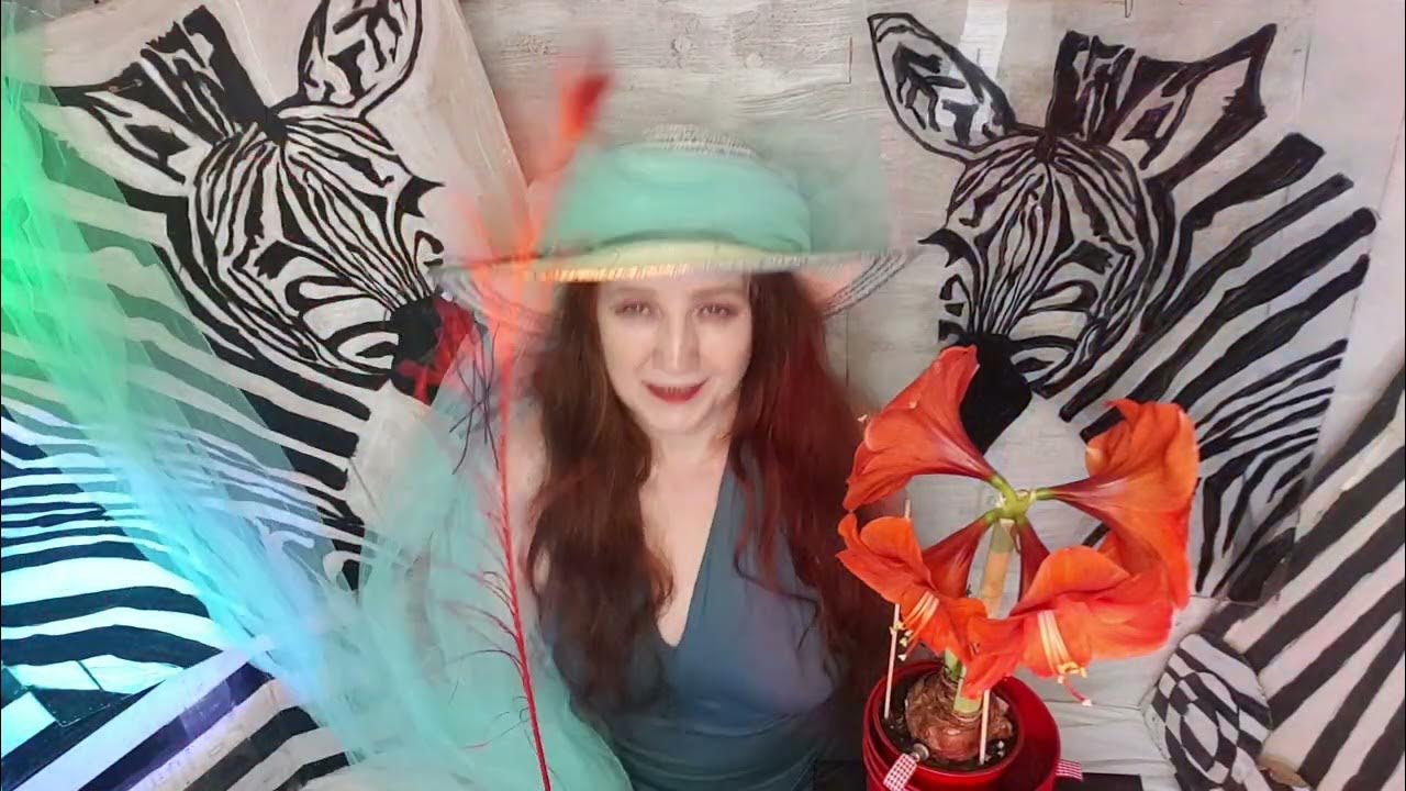 Песня performance. Песня performance