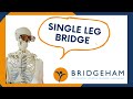 Single Leg Bridge