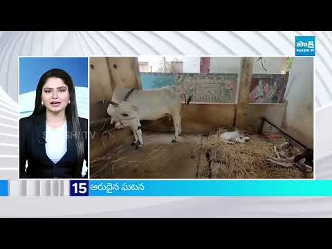 News Express | TOP 25 News Headlines | Sakshi Speed News at 7AM | 6 -10-2025 | @SakshiTV - SAKSHITV