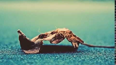 How to Create ROW LEVEL LOCK  1 Of 2