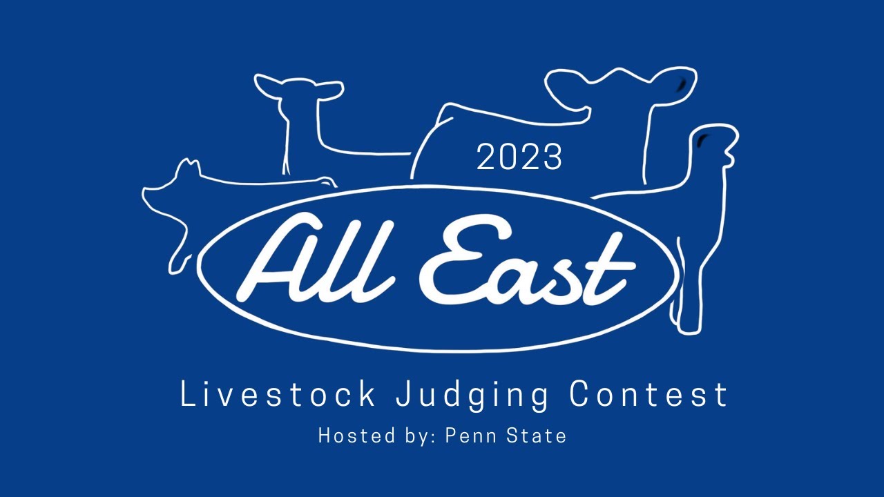 Meat Animal Evaluation Cattle 14 YouTube