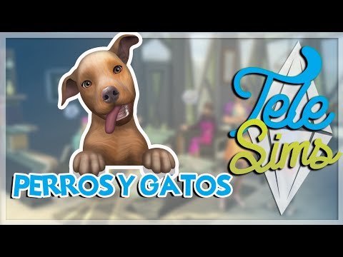 Vídeo: El Paquete De Expansión De Los Sims 4 Perros Y Gatos Llegará En Noviembre