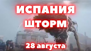 На Испанский остров Майорка обрушился сильный шторм, поваленные деревья и затопленные улицы