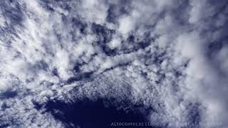 Altocumulus Clouds Timelapse