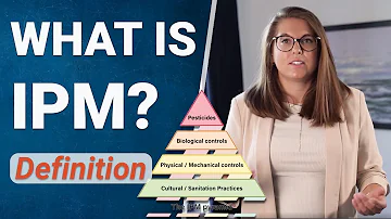 Co produkují Specializované chemické závody?