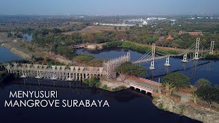 Menyusuri Hutan Mangrove di Wonorejo Surabaya Sampai ke Muara pakai Drone, Seperti apa yaa???