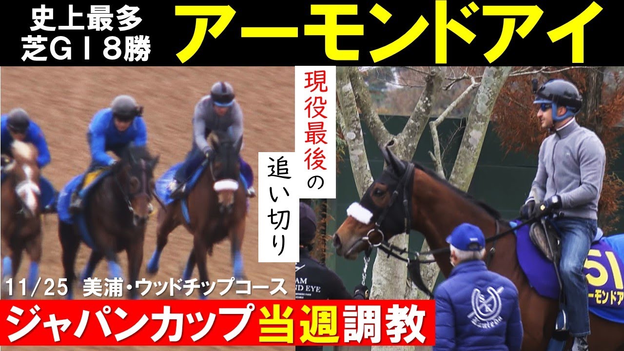 激レア　競馬　ジャパンカップ2020　セットアップ