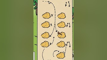 Ant Colony Algorithm by Infographics
