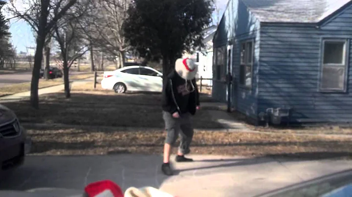 My Harlem Shake