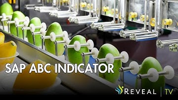 Grasp SAP ABC Indicators: Optimize Inventory & Drive Focus Fast!