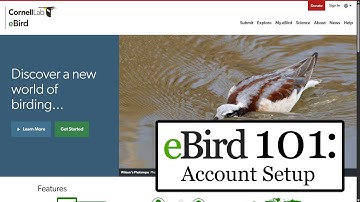 How to set up an eBird account