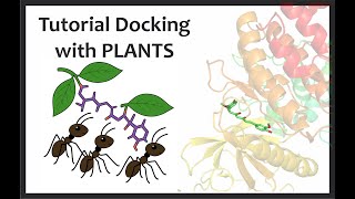 Como fazer docking com PLANTS | Molecular docking with Protein-Ligand ANTSystem #dockingmolecular