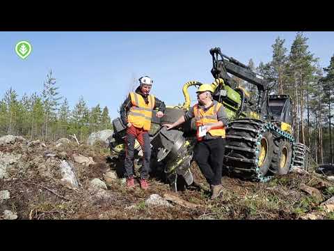 Video: Kuinka Valita Yliopisto