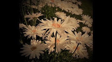 Associate Dean Message March 2021