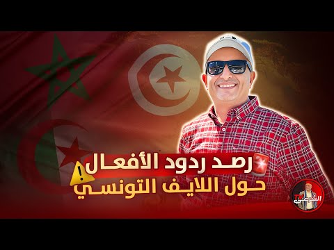 تعليقات الجزائريين والمغاربة حول لايف التوانسة اسعد الشرعي تونس المغرب الجزائر