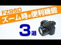 Panasonic FZ85D ズーム時の便利機能3選