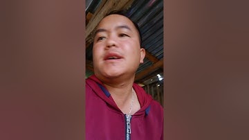 nrov coj nej mu saib kuv cov qaib sib ncaw dua os