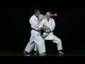 Part 2  wado ryu basic technique by tatsuo suzuki sensei