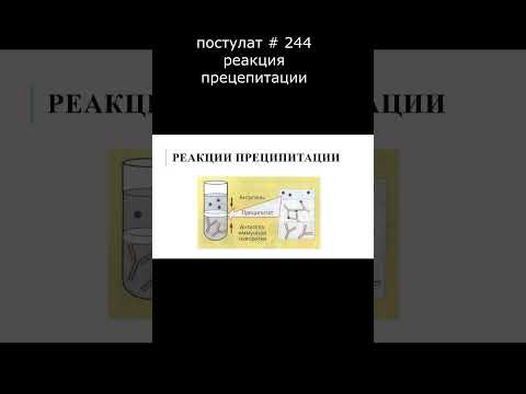 постулат # 244