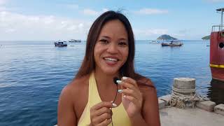 Scuba Diving Koh Tao 2021 | Short Reviews about "Scuba Birds" PADI 5* IDC Dive Center