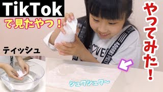 またまたTikTokのヤツ〜やってみた！ティッシュに泡で何を作ったのか！【第３弾】