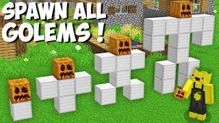 Why did I SPAWN ALL THE RAREST IRON GOLEMS in Minecraft ! NEW IRON GOLEM !