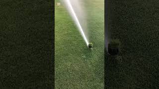 Pop-up sprinklers provide even water distribution. https://hortitechnogreenhouses.com/products/