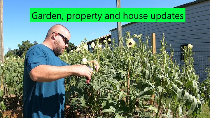 #151 Garden, property and house updates!