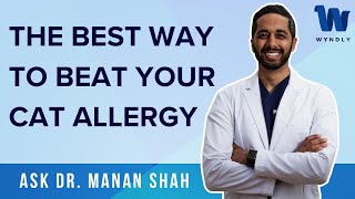 The Best Way to Beat Your Cat Allergy!