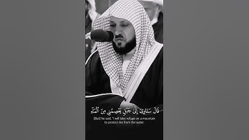 ‏تظن أنك حُرمت، ولكنك رُحمت.❤️🍀تلاوة تفوق الوصف | لفضيلة د الشيخ ماهر المعيقلي | من سورة هود