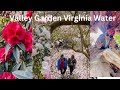 Valley garden virginia water weekend activities with beautiful nature 23032024  uk vlog 4k