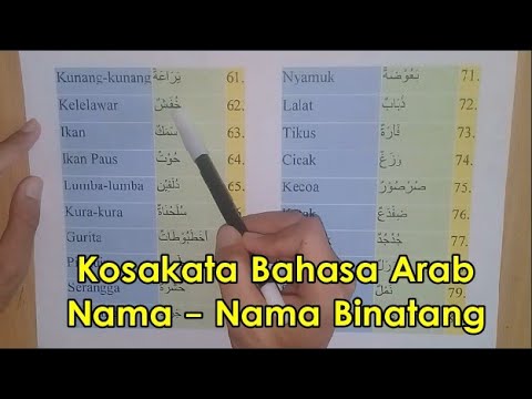 Lalat dalam bahasa arab