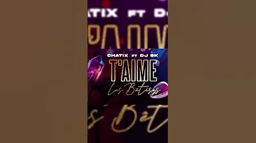 New Single T Aime Les Bêtises Disponible Sur Toutes Les Plateformes 