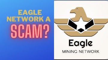 Eagle Network A Scam? | In depth review of the Eagle Mining Network