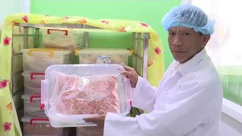 Đông trùng hạ thảo CYH sản xuất theo tiêu chuẩn VietGap