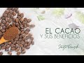 El cacao y sus beneficios / 30  Alimentos  Saludables con Jorge Rausch