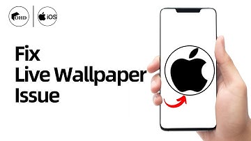 How to Fix Live Wallpaper Not Working on iPhone | Fix Dynamic Wallpaper Not Working [iOS 18]