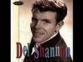 Del Shannon - Hey Litlle Girl - w / lyrics