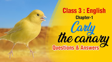 Class 3 English | Chapter -1: Carly the Canary | Questions and Answers