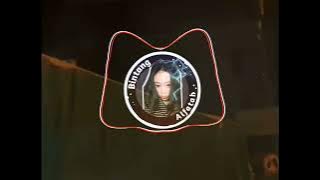 DJ BUIH JADI PERMADANI X BOKA BOKA REMIX TERBARU TIK TOK 2022 FULL BASS!