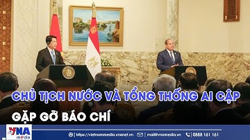 Chủ tịch nước Lương Cường và Tổng thống Ai Cập gặp gỡ báo chí - VNAMedia