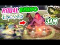 🌑 🕯 NUNCA HAGAS EL RITUAL DE BRUNO a LAS 3 AM 🐀 🌿 ¿HECHIZÓ A MI PERRITO? 😱 ¡ENCANTO!🏚