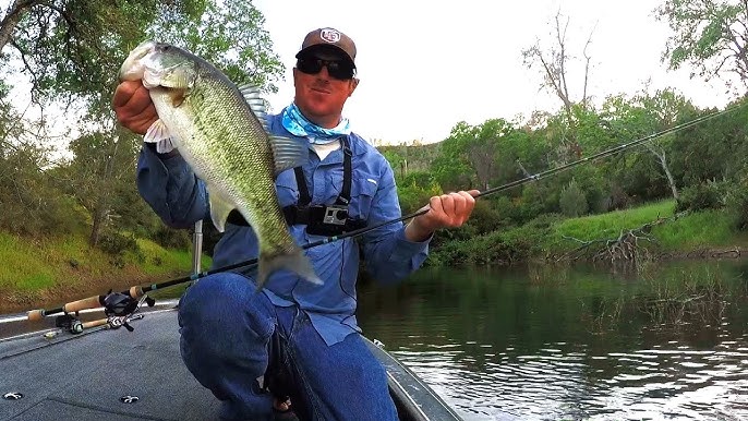 Everything You Need to Know about Fishing a Popper – MONSTERBASS