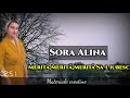 SORA ALINA - MERITA,MERITA,MERITA SA-L IUBESC