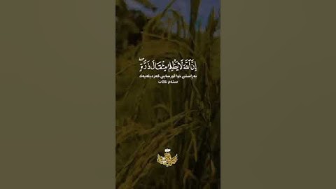 إن الله لا يظلم مثقال ذرة وإن تك حسنة يضاعفها ويؤت من لدنه أجرا || سورة النساء || عبدالباسط عبدالصمد