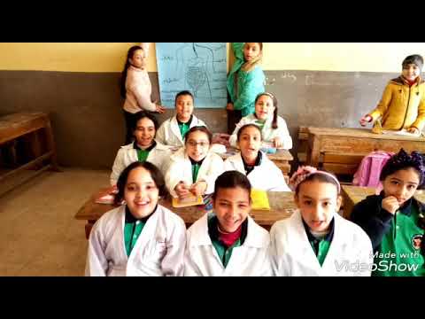 اغنيه للجهاز الهضمى للصف الرابع الابتداءي