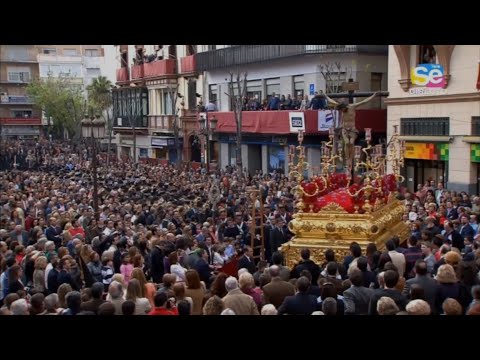 Real, Ilustre y Fervorosa Hermandad Sacramental de la Pura y Limpia Concepción de la Santísima Virgen María, Ánimas Benditas del Purgatorio y Cofradía de Nazarenos del Santísimo Cristo de la Salud, María Santísima del Refugio, Santa Cruz, Nuestra Señora del Patrocinio, Santa Bárbara y San Bernardo