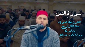 تراويح ليالي رمضان 1446 من أمريكا | ما تيسر من سورة النمل برواية قالون عن نافع | القارئ معاذ الدويك