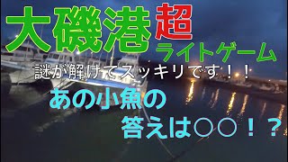 大磯港　アジングロッドでアジ以外の魚を釣る